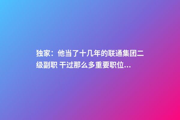 独家：他当了十几年的联通集团二级副职 干过那么多重要职位如今所在子公司名字大气-第1张-公司起名-玄机派